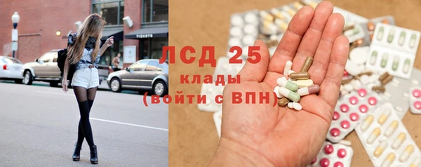 молекула духа Михайлов