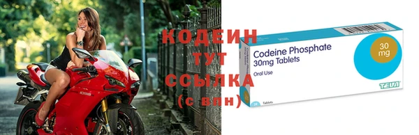 шишки Лагань