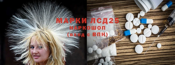 молекула духа Михайлов