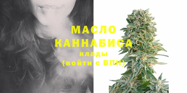 молекула духа Михайлов