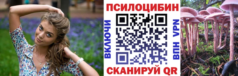 наркота  Рыбное  Галлюциногенные грибы Psilocybine cubensis 